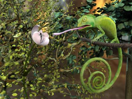 Caméléon Casqué