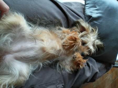 Bony