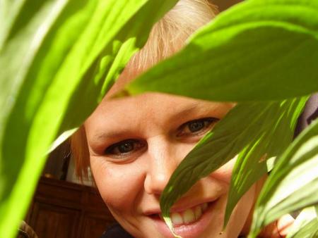 Dans la jungles